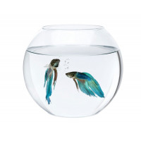 Aquarium sphere (0.7 l) glass