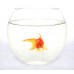 Aquarium sphere (0.7 l) glass