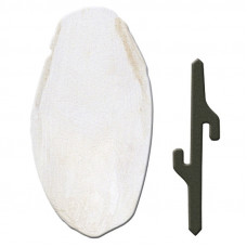 Ferplast of Cuttlebone is the Stone of a cuttlefish for strengthening of a beak of birds