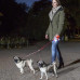 Flexi Vario Duo Belt S - A leash on a roulette for two dogs of small breeds