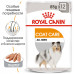 Royal Canin Coat Care Beauty Loaf - Tinned dog food of the different sizes with dim and rigid wool (paste)