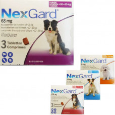 Nex Gard antiparasitic medicine from fleas and ticks for dogs (1 tablet)