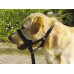 Premier Easy Walk - A training collar Easy walk for dogs