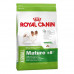 Royal Canin X-Small Mature 8 - The dry feed for tiny dogs is more senior than 8 years