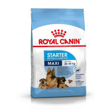 Royal Canin Maxi Starter Mother & Babydog - A dry feed for puppies and the feeding females of large breeds