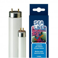 Ferplast of SEALIFE AQUACORAL - The fluorescent lamp for aquariums with sea water