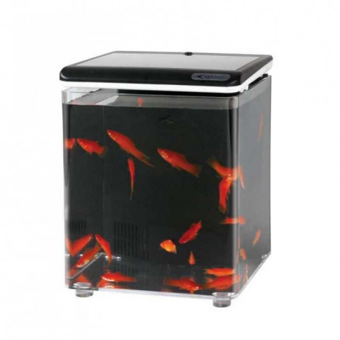 Resun FH-08 (8 l) - An aquarium with LED lighting and the filter