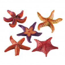 Ferplast of Starfish Small - Scenery from polyurethane for aquariums