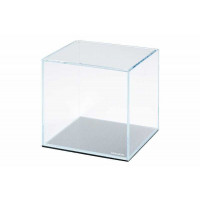 Collar Daquarium (5 l) - An aquarium from supertransparent glass