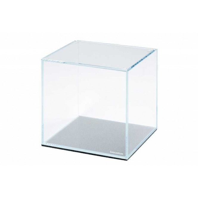 Collar Daquarium (5 l) - An aquarium from supertransparent glass