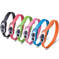 PetSafe Cinch-It - A thermoplastic collar for dogs with the microlock