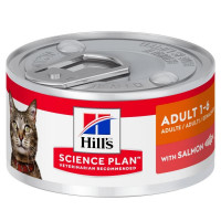 Hills Wet SP Feline Adult Salmon – A tinned forage with a salmon for adult cats