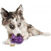 PetSafe Barnacle - A superstrong toy - treats for dogs