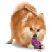 PetSafe Barnacle - A superstrong toy - treats for dogs