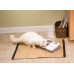 PetSafe Eatwell 2 Meal Pet Feeder - An automatic cats and dogs feeder for 2 portions with the timer