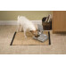 PetSafe Eatwell 2 Meal Pet Feeder - An automatic cats and dogs feeder for 2 portions with the timer