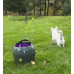 PetSafe Automatic Ball Launcher - The automatic thrower of balls, a toy for dogs