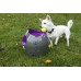 PetSafe Automatic Ball Launcher - The automatic thrower of balls, a toy for dogs