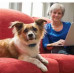 PetSafe Standard Remote Trainer-the Electronic collar for dogs of small and medium breeds