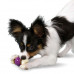 Premier Bouncy Bone - A superstrong toy feeding trough for dogs