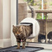 PetSafe Manual-Locking Cat Flap - A door with the mechanical lock for cats up to 7 kg