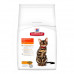 Hill's Science Plan Adult Light with Chicken - A dry low-calorie feed with chicken for cats