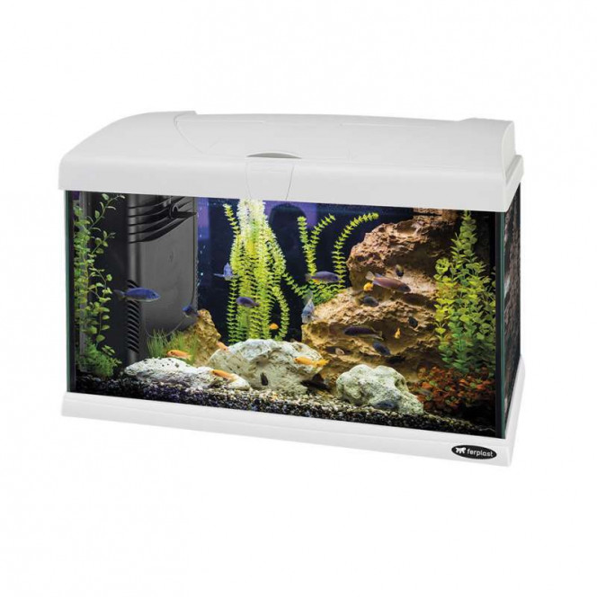 Ferplast of Capri 50 LED (40 l) - A glass aquarium with a cover with a LED lamp of Capri 50 LED