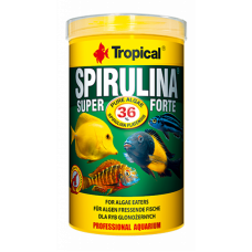 Tropical Super Spirulina Forte - A vegetable flaked forage with the maintenance of 36% of a spirulina