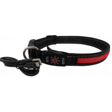 AnimAll (EnimAll) Collar LED - The collar shining for dogs (with recharge of USB)