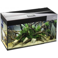 Aquael Glossy 100 (215 l) - A straight line aquarium with a cover lamp