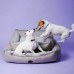 Harley & Cho (Harley and Cho) Sofa Wolf - A soft plank bed for dogs of all breeds