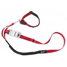 AnimAll (EnimAll) HL-LH 148 - A set a collar with a lead for dogs