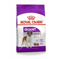 Royal Canin Giant Adult - A dry feed for adult dogs of the big sizes