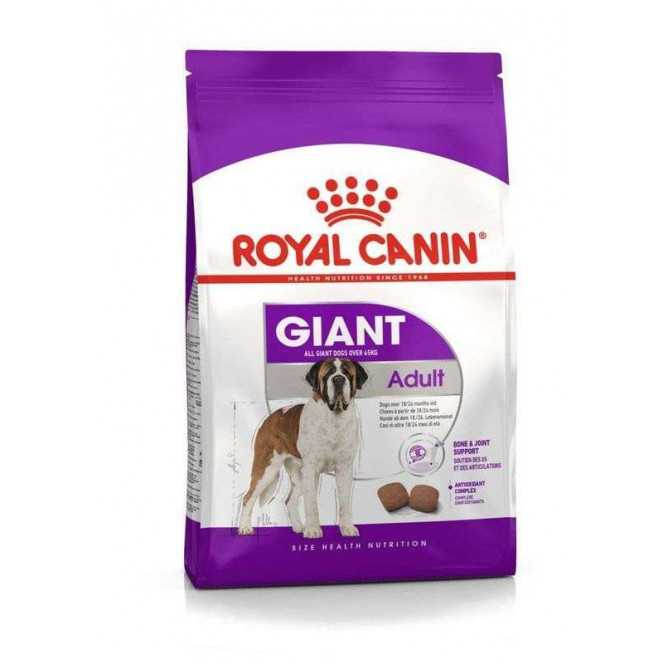 Royal Canin Giant Adult - A dry feed for adult dogs of the big sizes