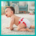 Diapers shorts for children of PAMPERS Premium Care (Pampers the Premium) Pants 4 from 9 to 15 of kg of 38 pieces