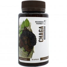 Grib Chaga the capsules promoting improvement of a functional condition of digestive tract and a gepatobiliarny system a bottle of 120 pieces