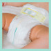 Diapers for children of PAMPERS Premium Care (Pampers the Premium) Maxi 4 from 9 to 14 of kg of 34 pieces