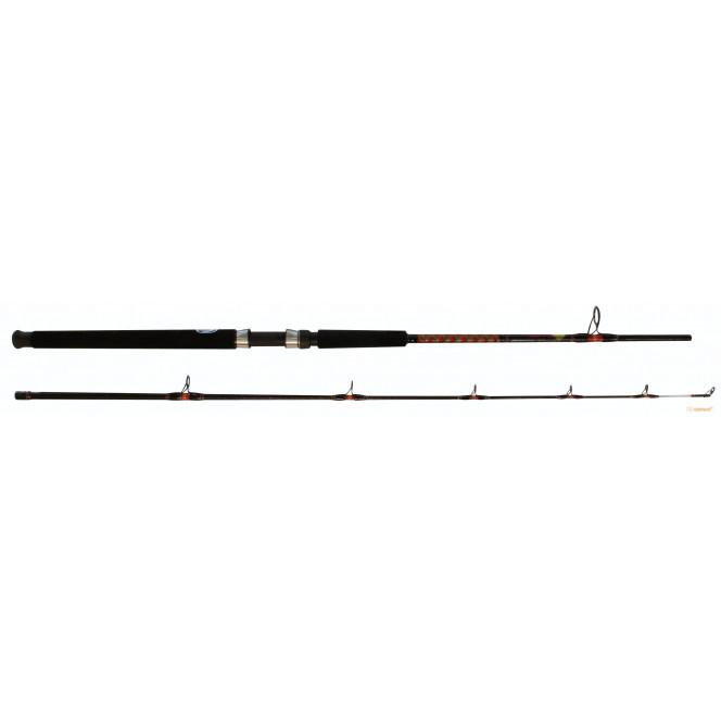 Fishing-rod of Salmo Power Stick Boat 210