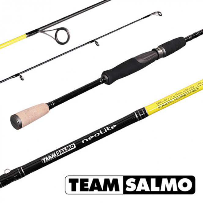 Fishing-rod of Team Salmo Neolite 7.7 ft 6-28