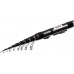 Fishing-rod Bologna Brain Apex Traveller 6.00m (1858.44.67)