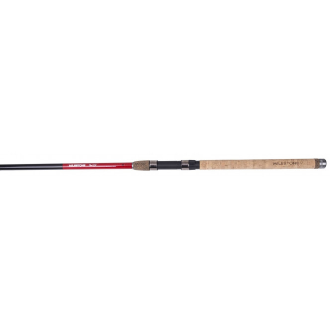 Fishing-rod of Mikado Milestone Float of 4.00 m 10-30gr (WAA845-400)