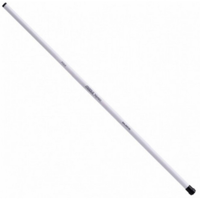 Rod of Balzer Modul Xenia Telepole of 4 m (11600 400)