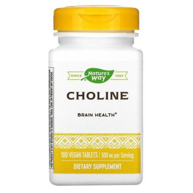 Холин, Choline, Nature's Way, 500 мг, 100 таблеток, 15976
  