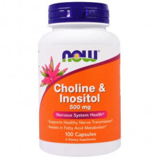 Choline Inositol, Choline Inositol, Now Foods, 500 mg, 100 Capsules, 02251
 