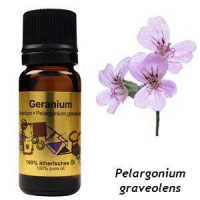 100% Geranium essential oil, 10 ml, 05591
 