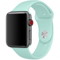 STR Sport Band for Apple Watch 42/44/45 mm (Series SE/7/6/5/4/3/2/1) (S/M and M/L) - Marine Green