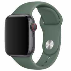 STR Sport Band for Apple Watch 38/40/41 mm (Series SE/7/6/5/4/3/2/1) (S/M and M/L) - Pine Green