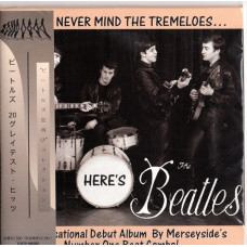 The Beatles-NEVER MIND THE TREMELOES... HERES THE BEATLES