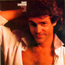 David Sanborn ‎ – Straight To The Heart