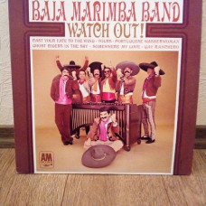 Baja Marimba band - watch out!